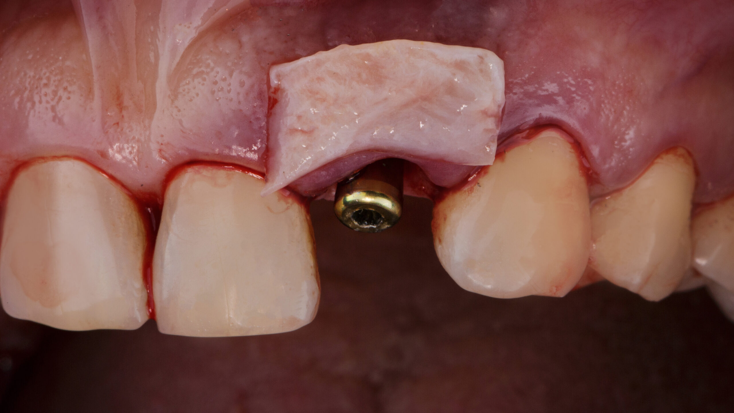 AdobeStock_490381914 scaled